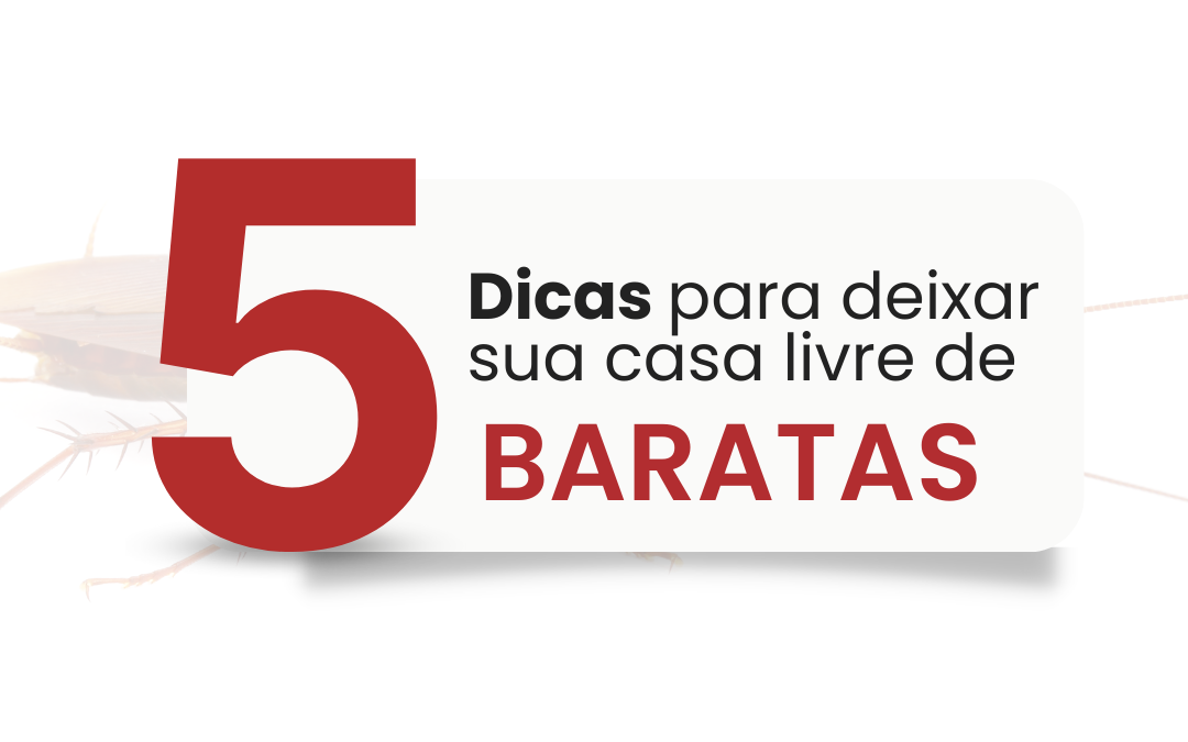 5 dicas para manter sua casa livre de baratas