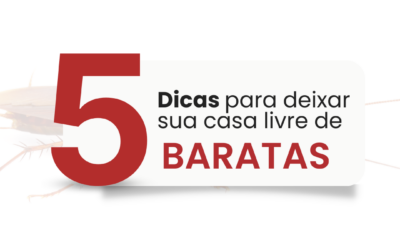 5 Dicas para deixar sua casa livre de baratas