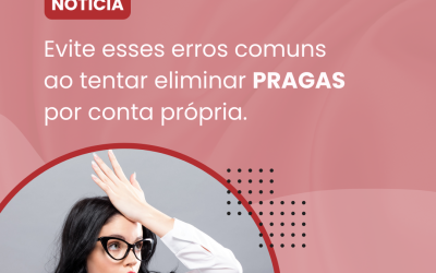 Dedetização Caseira: Os Principais Erros que se Deve Evitar ao Tentar Eliminar Pragas por Conta Própria