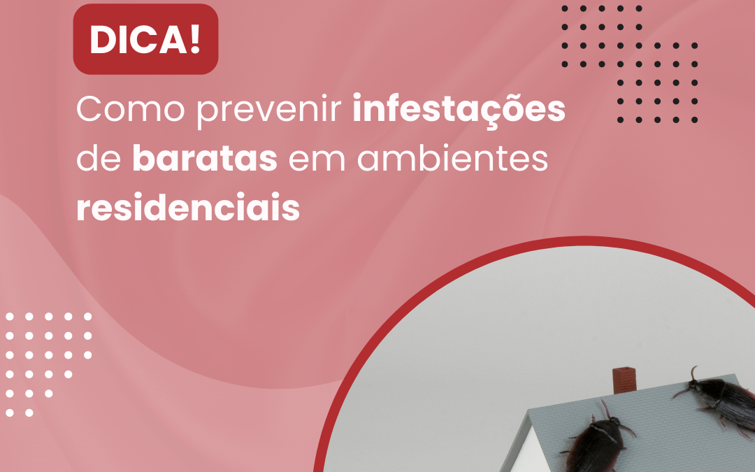 Como Prevenir Infestações de Baratas em Ambientes Residenciais