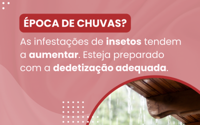 Época de chuvas? Fique atento! Infestações de insetos tendem a aumentar