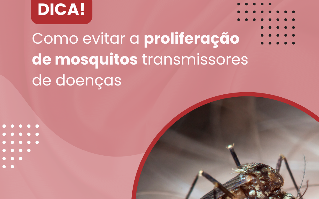 Como Evitar a Proliferação de Mosquitos Transmissores de Doenças